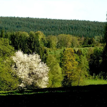 Prázdninový dům Le Bonnerue Houffalize